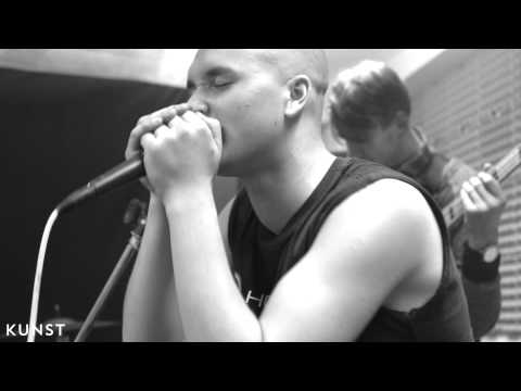 Y Ffug + Daf Ieuan (Super Furry Animals) - Golden Retriever