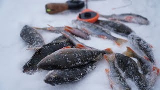 Ловля окуня в глухозимье на балд
