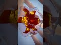 How A Hollow Point Bullet Works 🤔