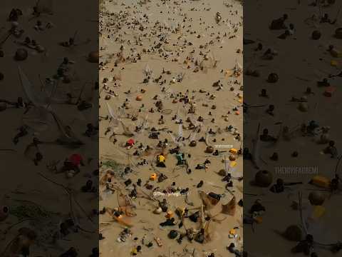 50 000 рыбаков на одну реку