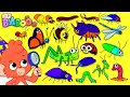 Insects ABC Animal ABC Learn The Alphabet With Insects And Bugs Club Baboo