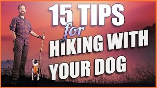 Video: Hiking with Dogs Tips