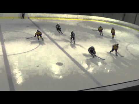 59. 2016 WSI 02 Playoffs Semifinal (W55) Sweden - (W57) Finland