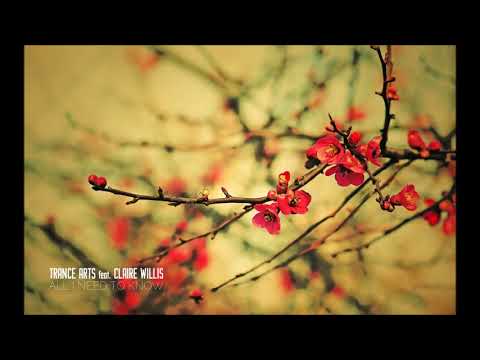Trance Arts feat. Claire Willis - All I Need To Know (Chris Turner Dub)