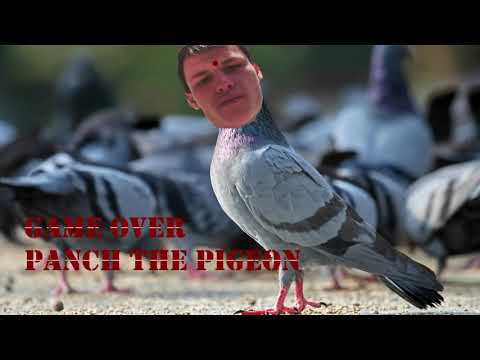 FMC - (Panch the Pigeon) Game over