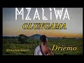 Driemo _olungama ft T-sean(Mzaliwa album)