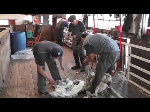1° BLOQUE, CAPÍTULO 1202 , EL SENTIR PATAGÓNICO HD, CANAL RURAL BUENOS AIRES...