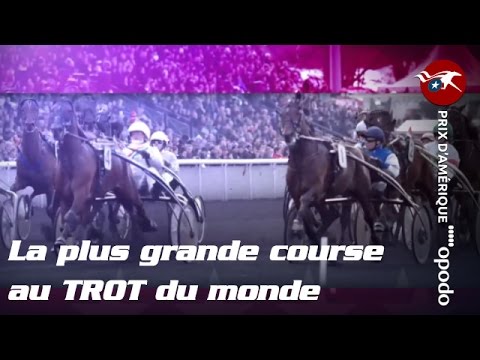 Le Prix d'Amérique Opodo, La plus grande course au TROT du monde - CLIP