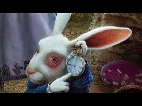 O Coelho Branco - Filme Matrix e  Alice no País das Maravilhas.
