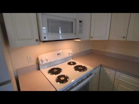 Beautiful 2 bedroom apartment, 1405 Beacon St Brookline MA