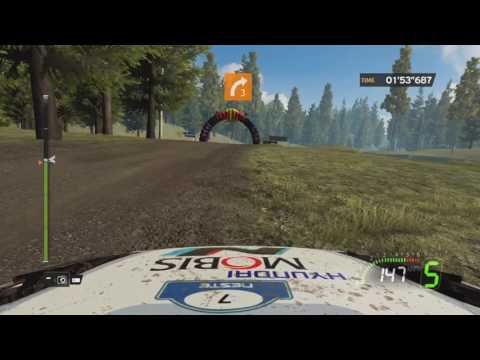 Daily Top Run #142 - WRC 5 - Horkka, Finland