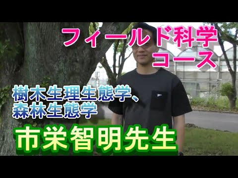 【フィールド科学コース】教員紹介（樹木生理生態学ほか・市栄先生）