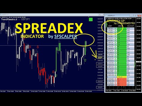 Video Spreadex per TrendMaestro5