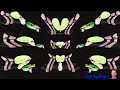Preview 2 VeggieTales Intro Effects Effects Windows 8 Opusc V2 Effects
