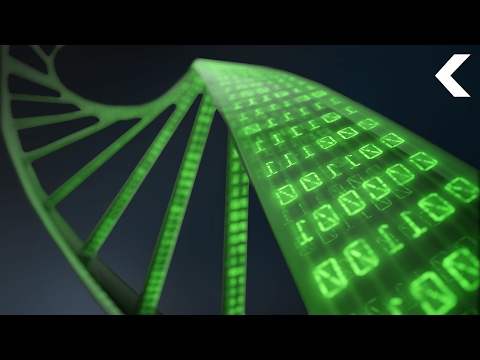 We Could Back Up The Entire Internet On A Gram Of DNA