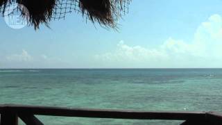 preview picture of video 'Halfmoon Bay, Akumal - A Rugged Paradise (B). 25 Top Beaches in Riviera Maya'