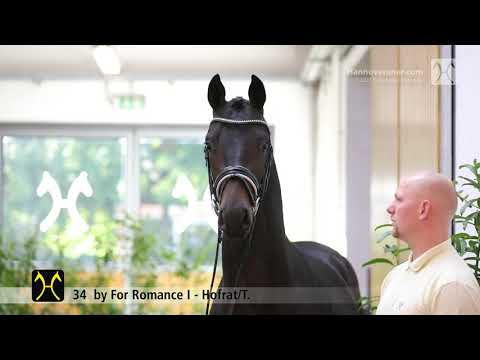 Verden Stallion Licensing 2021 - Dressage -  Nov. 4-6 - No. 34 Stallion by For Romance I - Hofrat/T.