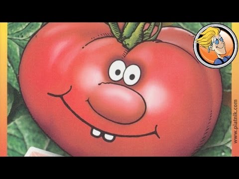 Overview & rules explanation of Ketch Up