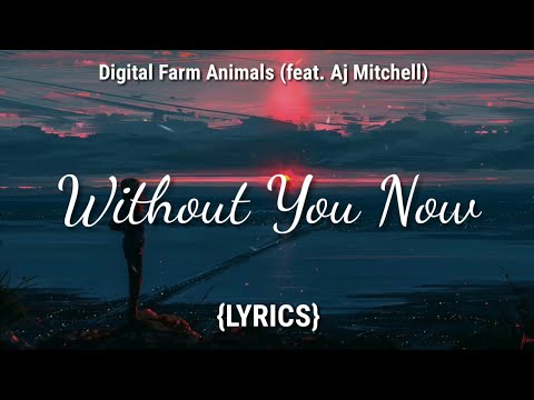 Digital Farm Animals - Without You Now (feat. AJ Mitchell) (Lyric video)