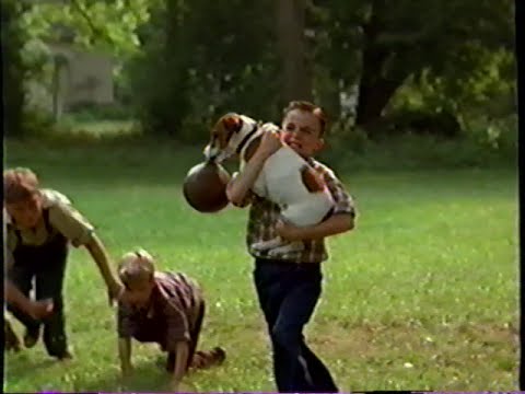 My Dog Skip ( Köpeğim Skip ) My Dog Skip ( Köpeğim Skip )