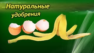 Вермикофе инструкция по применению подкормка для комнатных цветов