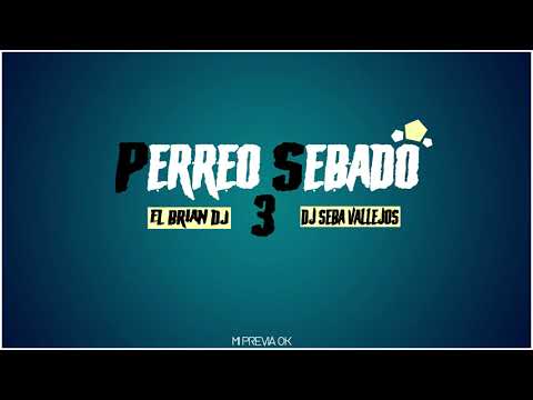 🔥PERREO SEBADO 3🔥 ❌EL BRIAN DJ FT DJ SEBA VALLEJOS❌