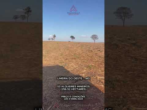 Fazenda à venda em Limeira do Oeste com 53 alqueires mineiros - Triangulo Mineiro - Minas Gerais