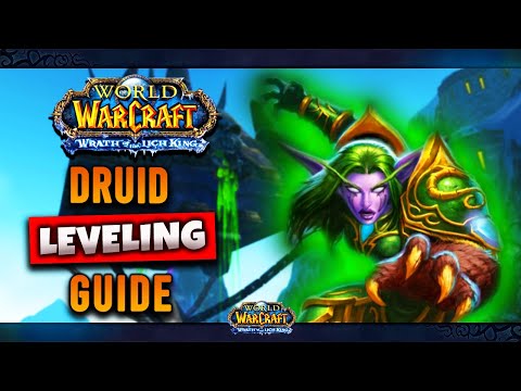 Eq Druid Leveling Guide