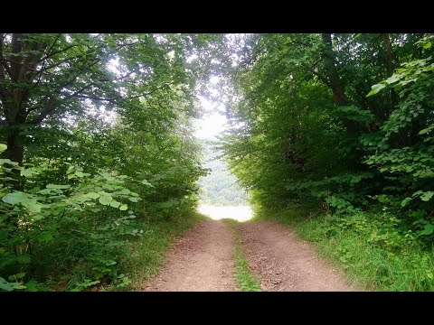 Agata Rymarowicz - Święty Antoni od zagubionych