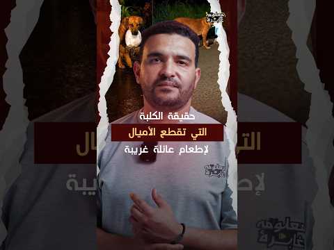 الكلبة التي أبكت العالم.. حقيقة 
