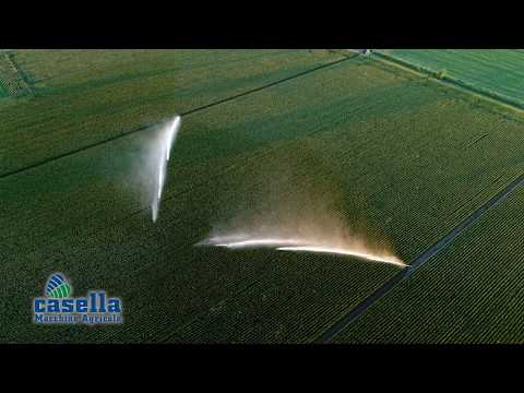 Casella Hose reels sprinkler Irrigation - corn - Irrigazione mais con irrigatore Casella