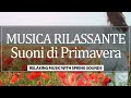 Musica Rilassante Con Suoni Della Natura Calmanti E Profumi Di Primavera