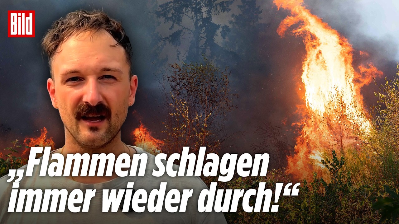 Waldbrand in Hürtgenwald: Lage in NRW wegen Wind und Hitze weiterhin dramatisch!
