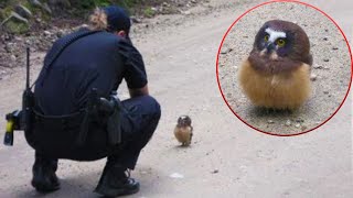 Miniature vidéo