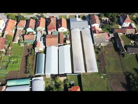 Rasadnik povrća Koprivica - Čelarevo