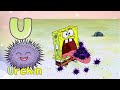 Animals Phonics Song Kidzstation