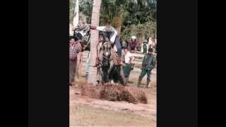 The be Good Tanyas - Horses