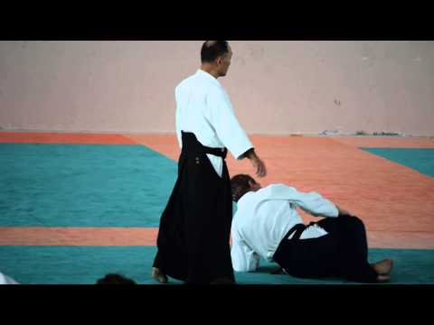 Le stage Aikido Lesneven 2014 FUNAKOSHI sensei　N°1