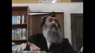 הרב שלום סבג -  - 233