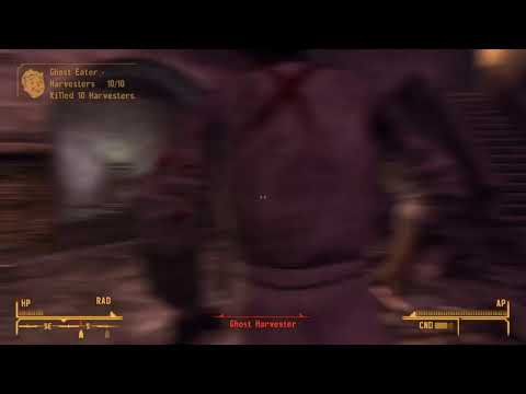 Late Night Fallout New Vegas
