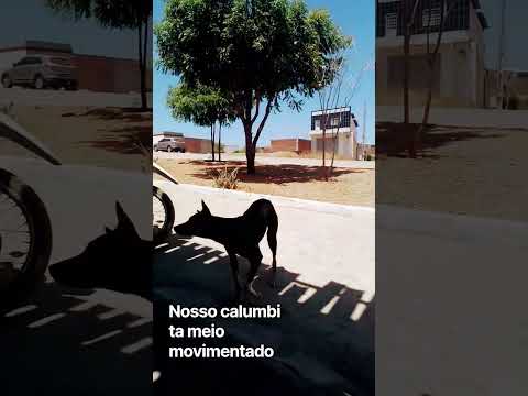Hoje ta meio movimentado