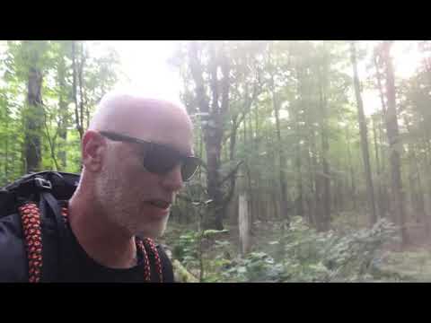 Lions and tigers and ticks…oh my.