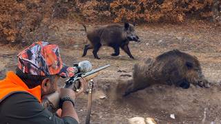 GIANT MONSTER BOAR HUNTS: Incredible SHOTS, Breathtaking DRONE Chase!