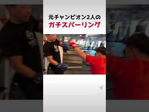 元チャンピオン世界3位同士のスパーリング