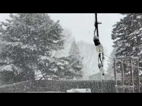 Snow in Sun Prairie, WI (3) — 02/09/2023