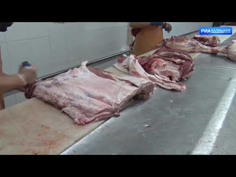 В Калмыкиии Управлением Россельхознадзора проведено обследование мясоперерабатывающего предприятия