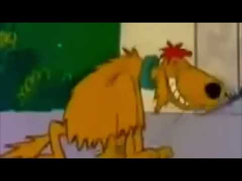 WERE PRECIOUS PUPP & MUTTLEY RELATED? or Why to Avoid Puppy Farms