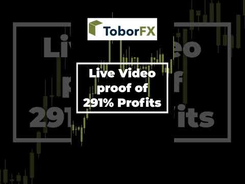 Trading performance of 291% profits! The "best Selling" Forex Robot ToborFX!