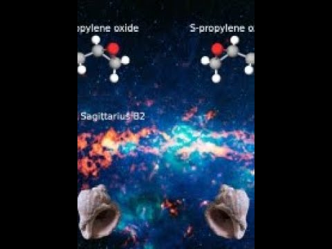 The Looking Glass Universe: From Baryogenesis to Biogenesis