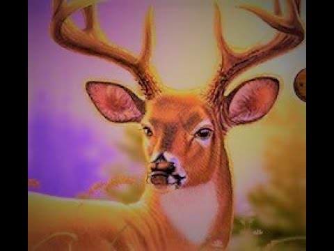 BIG HUNTER WORLD Mod. Cheap but Sleek! (Arcade1Up) Newer &  expanded Mod for just $105.00